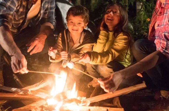 What Are The Safety Precautions For Children And Pets Around Fire Pits?