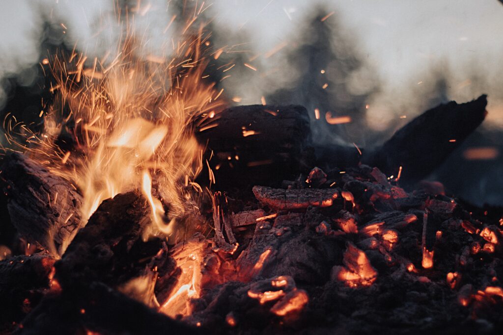 What Are The Safety Measures For Using A Wood-burning Fire Pit In A Forested Area?